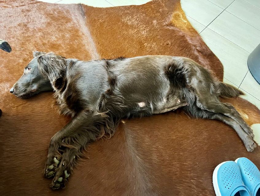 Babyb&auml;uchlein