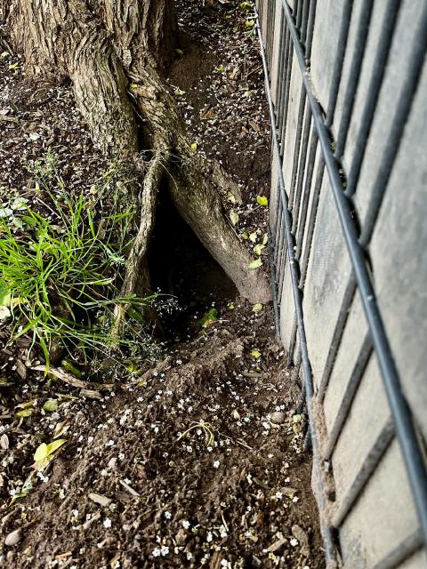 Wurfh&ouml;hle