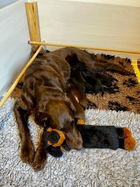 Mama braucht auch mal ne Pause...