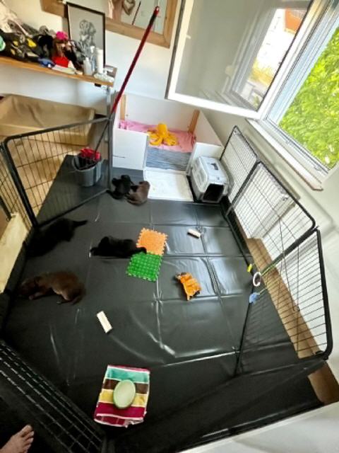 vergr&ouml;&szlig;erter Auslauf