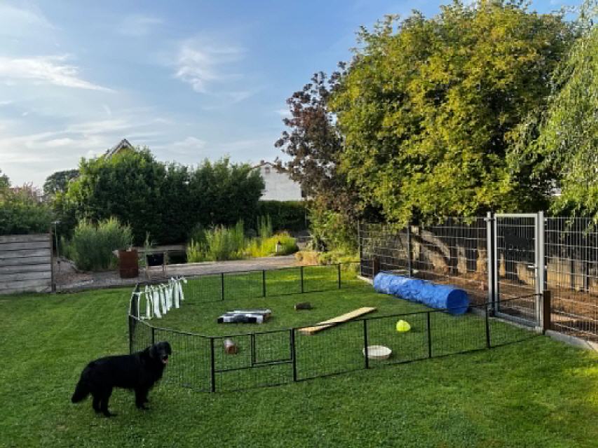 Am Montagabend haben wir den Auslauf aufgebaut