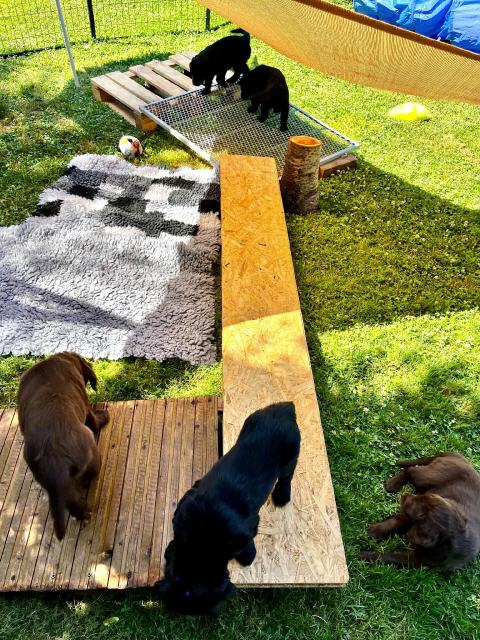 neuer Kletterpark